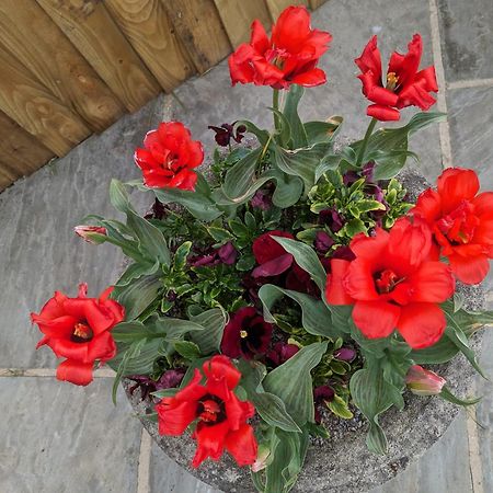 Rosegarth Bed And Breakfast Marton  Екстер'єр фото