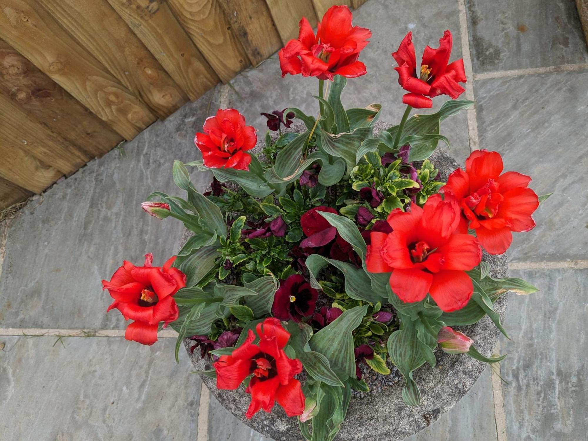 Rosegarth Bed And Breakfast Marton  Екстер'єр фото